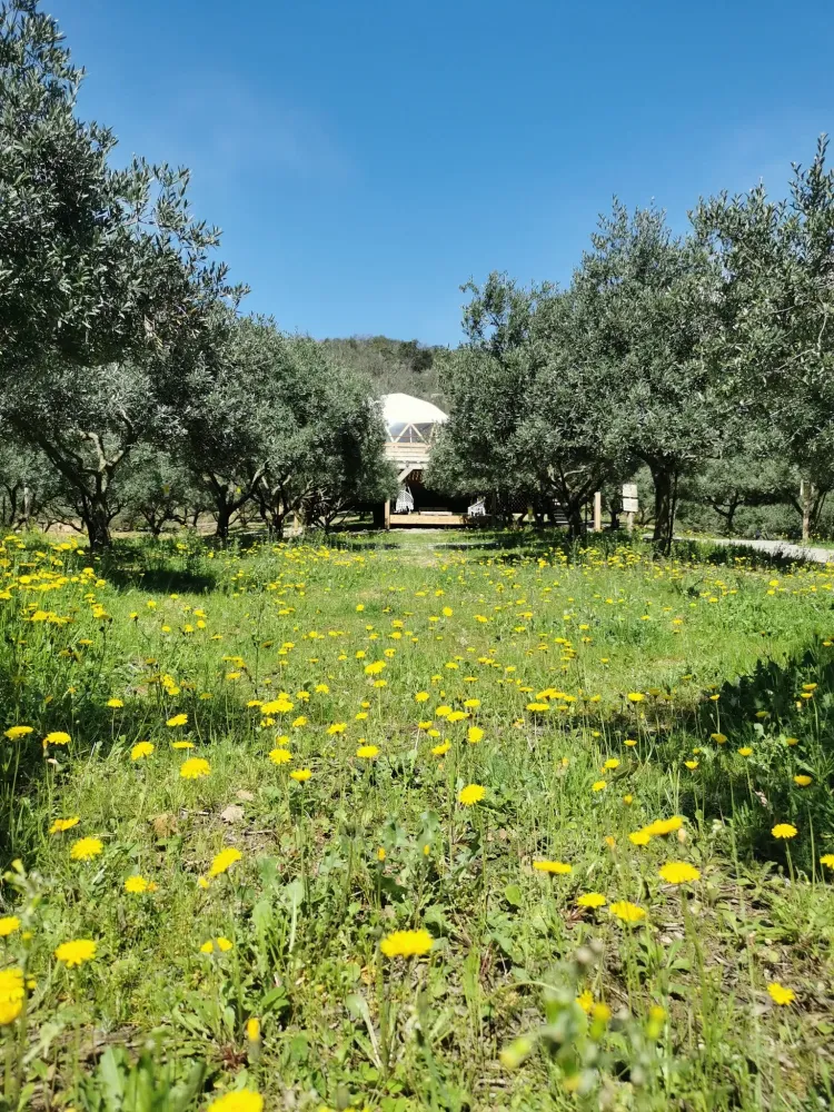 Clots Das Vignes en images (3)