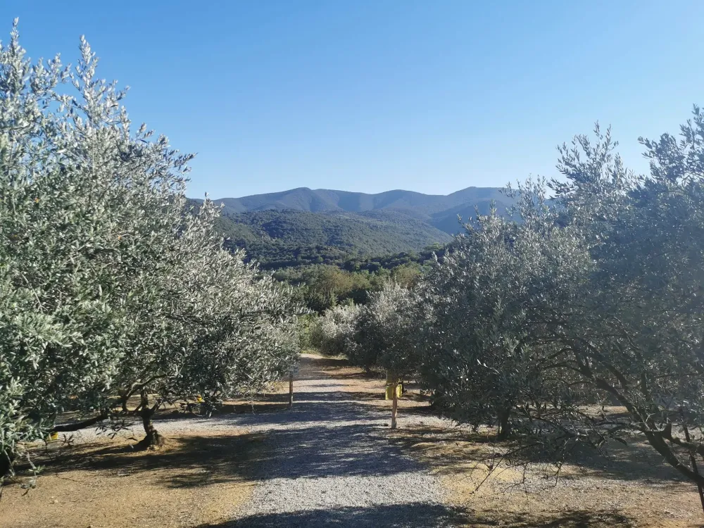 séjour calme à Ansignan