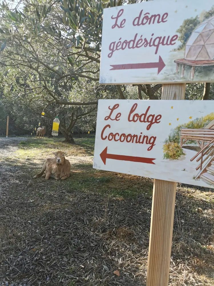 Clots Das Vignes