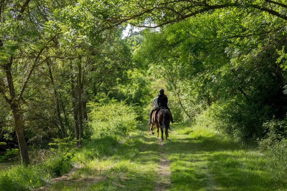 balade à cheval